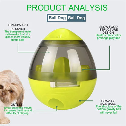 Interactive Treat Dispenser