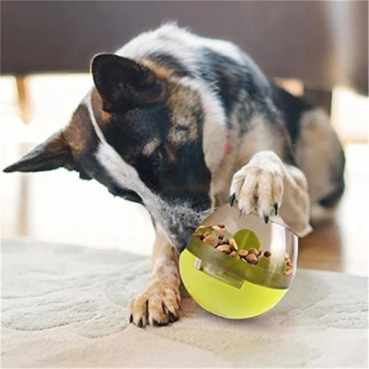 Interactive Treat Dispenser