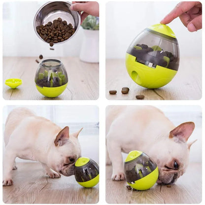 Interactive Treat Dispenser