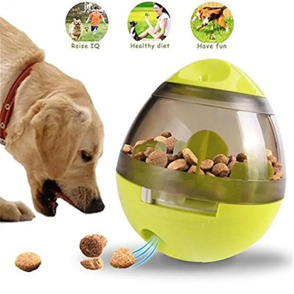 Interactive Treat Dispenser